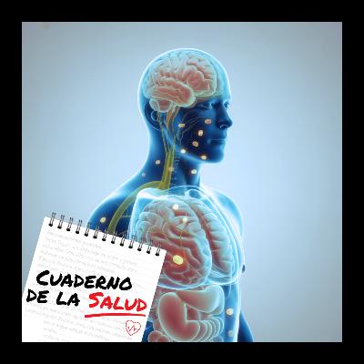 Células madre: lo que hoy sí se puede hacer (y lo que no) Células madre: lo que hoy sí se puede hacer (y lo que no)