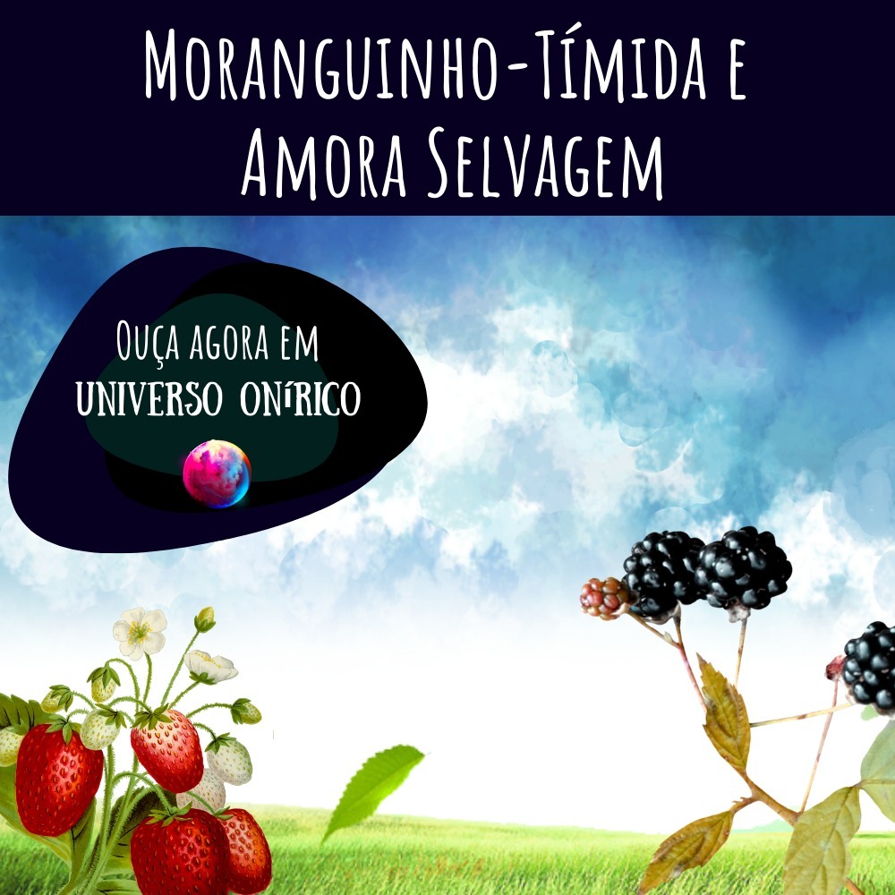 Universo Onírico