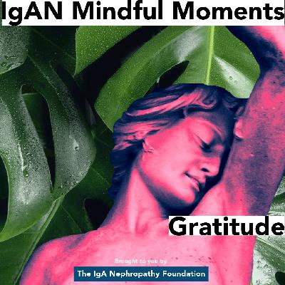 IgAN Mindful Moments: The Gratitude Practice for IgAN Warriors meditation IgAN Mindful Moments: The Gratitude Practice for IgAN Warriors meditation