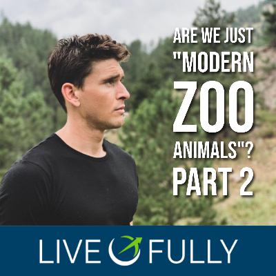 Are We Just *Modern Zoo Animals*? The Ancestral Mismatch (Part 2)