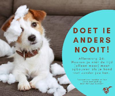 Ep.24: Waarom je niet (alleen maar) tijd moet opbouwen als je hond moeilijk alleen kan zijn