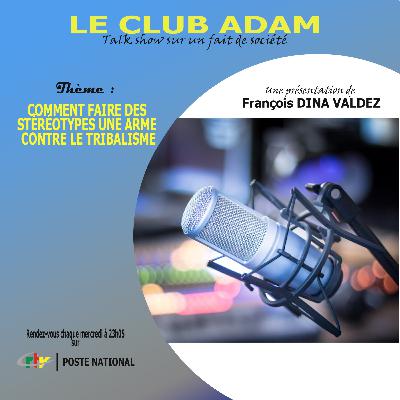 Comment faire des stéréotypes une arme contre le tribalisme ?