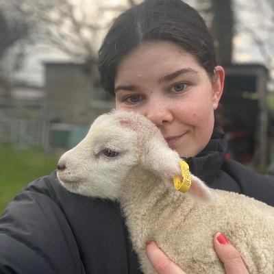 Can I prevent the lambs from being murdered?