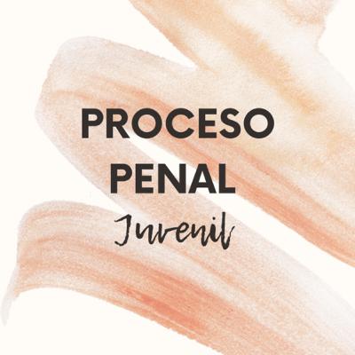 Audiencias del proceso Penal juvenil explicadas