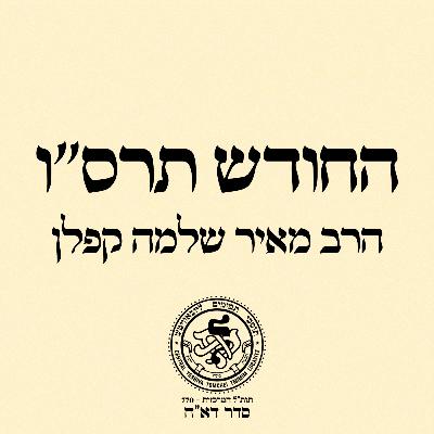 41. מאמר ד''ה וספרתם לכם - שיעור ב 41. מאמר ד''ה וספרתם לכם - שיעור ב