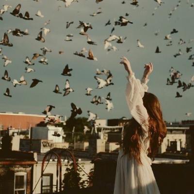 تورط - لانج لييف— ترجمة ضي رحمي تورط - لانج لييف— ترجمة ضي رحمي