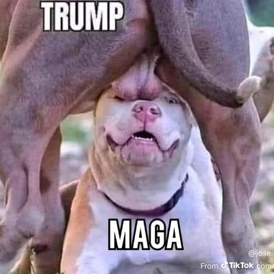 Happy birthday Charlie Kirk