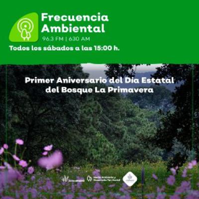 Episodio 215. Primer aniversario del Día Estatal del Bosque La Primavera