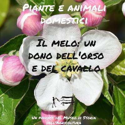 Il melo: il dono dell'orso e del cavallo