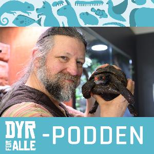 Petter Bøckman; - Noen reptiler kan bli over 100 år