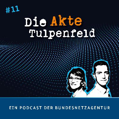 Solarstrom: Zu viel des Guten?
