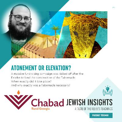 TERUMAH: ATONEMENT OR ELEVATION? With Rabbi Chaim Markovits - S2 E18 - Jewish Insights