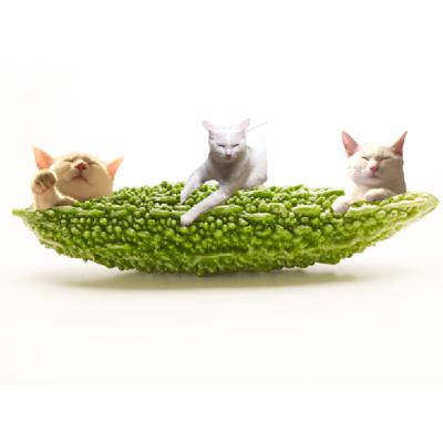 🍜福岡生まれ福岡育ちが選ぶ好きな博多ラーメンと番外編🍜