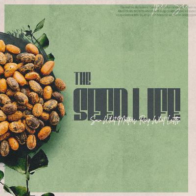 The Seed Life: My TIME as Seed The Seed Life: My TIME as Seed