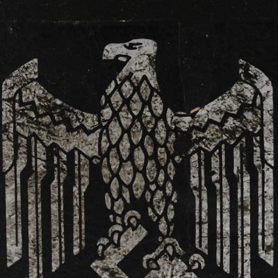 1111 "THE RISE OF THE REICH" - RACIAL PROFILING AND REPRESSION IN THE UNITED STATES