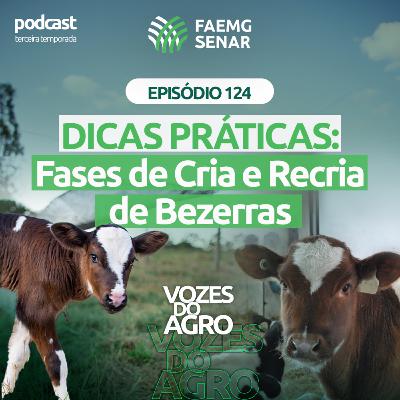 EP 124 | Dicas práticas: fases de cria e recria de bezerras