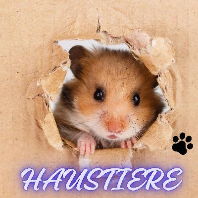 Hamster