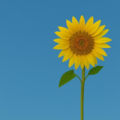 U la'ndi - The Genesis | Episode #1