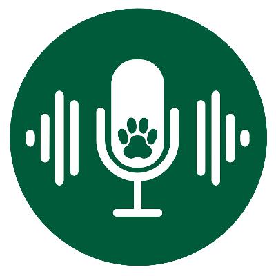 WCATChats 67: New Westminster President Jay Rainey