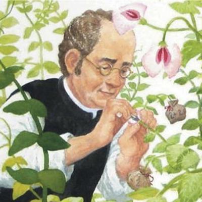 47. rész: Genetika I., mendeli genetika 47. rész: Genetika I., mendeli genetika