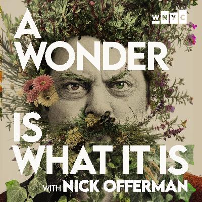 A Wonder Is What It Is: Nick Offerman Reads 'A Warning to My Readers' by Wendell Berry