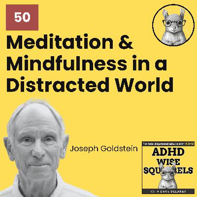 WS50  What Joseph Goldstein Taught Me About Mindfulness in a Distracted World.