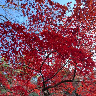 Ep10 いつだって感謝を from Radiotalk