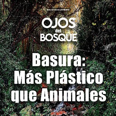 Basura: Más Plástico que Animales
