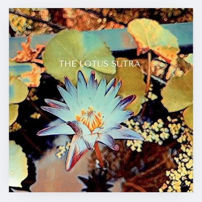 The lotus sutra and Mindfulness meditation