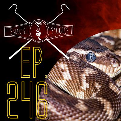 The Reptile Rejects of Canada | Snakes & Stogies Ep. 246 The Reptile Rejects of Canada | Snakes & Stogies Ep. 246