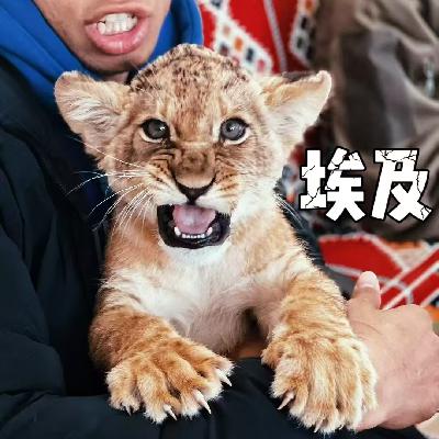 Vol.10 埃及！旅行以外，聊聊当地人的生活、交通，甚至房价！ ft.资深向导“老贾” & 埃及常客“Nuora”