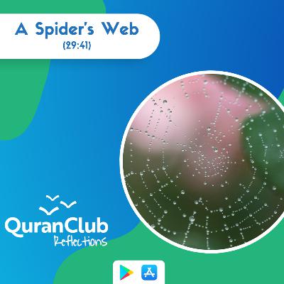 (29:41) A Spider's Web - Quran Saffat - Talha Ghannam #FridayReminders #QuranReflections [Ep 58]