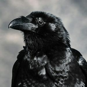 Episode 1 - Who is the Mórrígan, and why do we care?