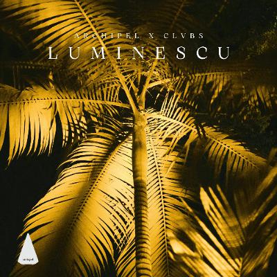 Archipel x CLVBS: Luminescu Archipel x CLVBS: Luminescu