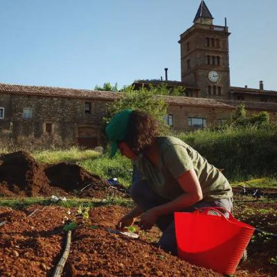 11. L'Ortiga, agricultura ecològica a Collserola