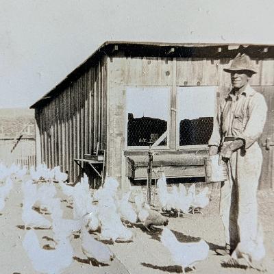 S2E34. Fat Ass Cures Cancer