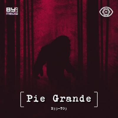 E33 T03 Pie Grande