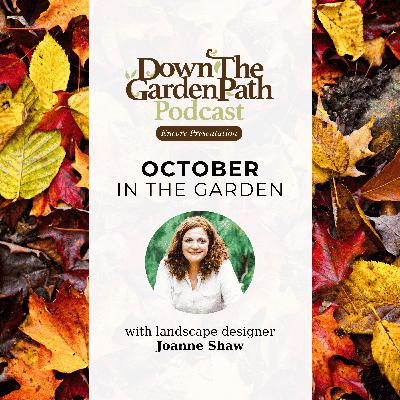 October in the Garden October in the Garden