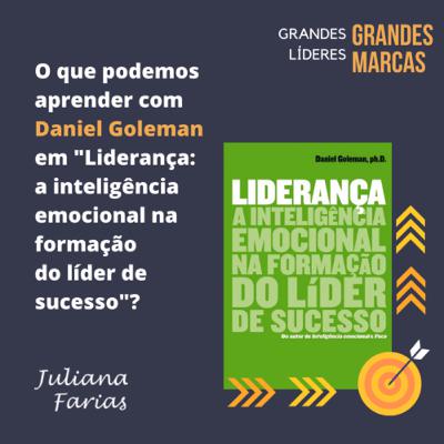 Daniel Goleman | O que aprendi com o livro “Liderança: a IE na formação do líder de sucesso.”