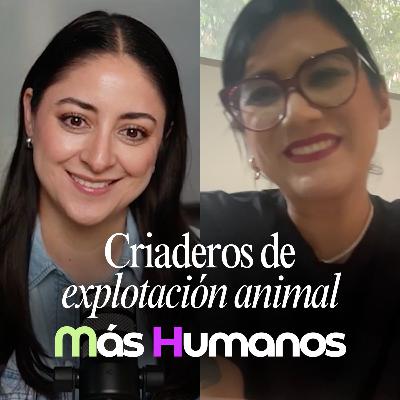Criaderos de maltrato y autoridades ausentes: Unión y acción de la sociedad civil | Más Humanos Criaderos de maltrato y autoridades ausentes: Unión y acción de la sociedad civil | Más Humanos