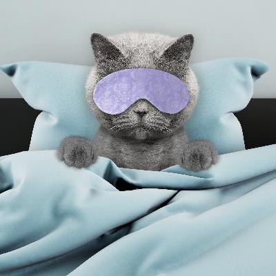 What to Do When You're Procrastinating on Sleep