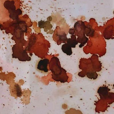 The Art of Poop