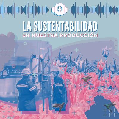 La sustentabilidad en nuestra producción