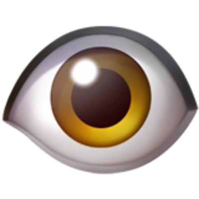 Eye