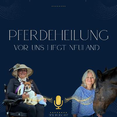 Haflinger Fahrsport Teil 2 | Ivonne Hellenbrand und Silvia