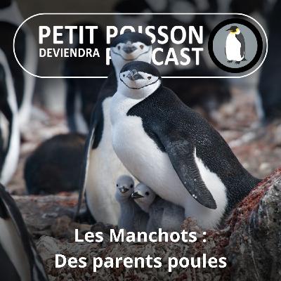 S05E17 Les Manchots : Des parents poules (Mathilde Chevallay)