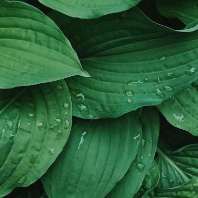 Hidup Sudah Ada Porsinya Masing Masing Hidup Sudah Ada Porsinya Masing Masing