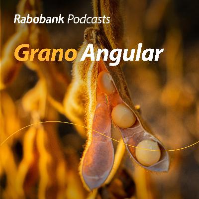 Soya en la mira y mercados pecuarios mixtos Soya en la mira y mercados pecuarios mixtos