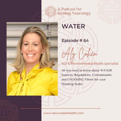 #64 Aly Cohen, MD: All you need to know about WATER! Sources, Regulations, Contaminants and Chooseing Filters for your Drinking Water #64 Aly Cohen, MD: All you need to know about WATER! Sources, Regulations, Contaminants and Chooseing Filters for your Drinking Water