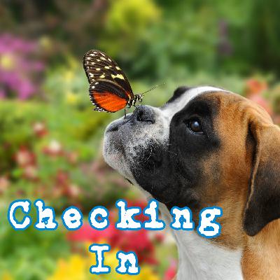 Checking In, A True Ghost Story From Seattle Checking In, A True Ghost Story From Seattle